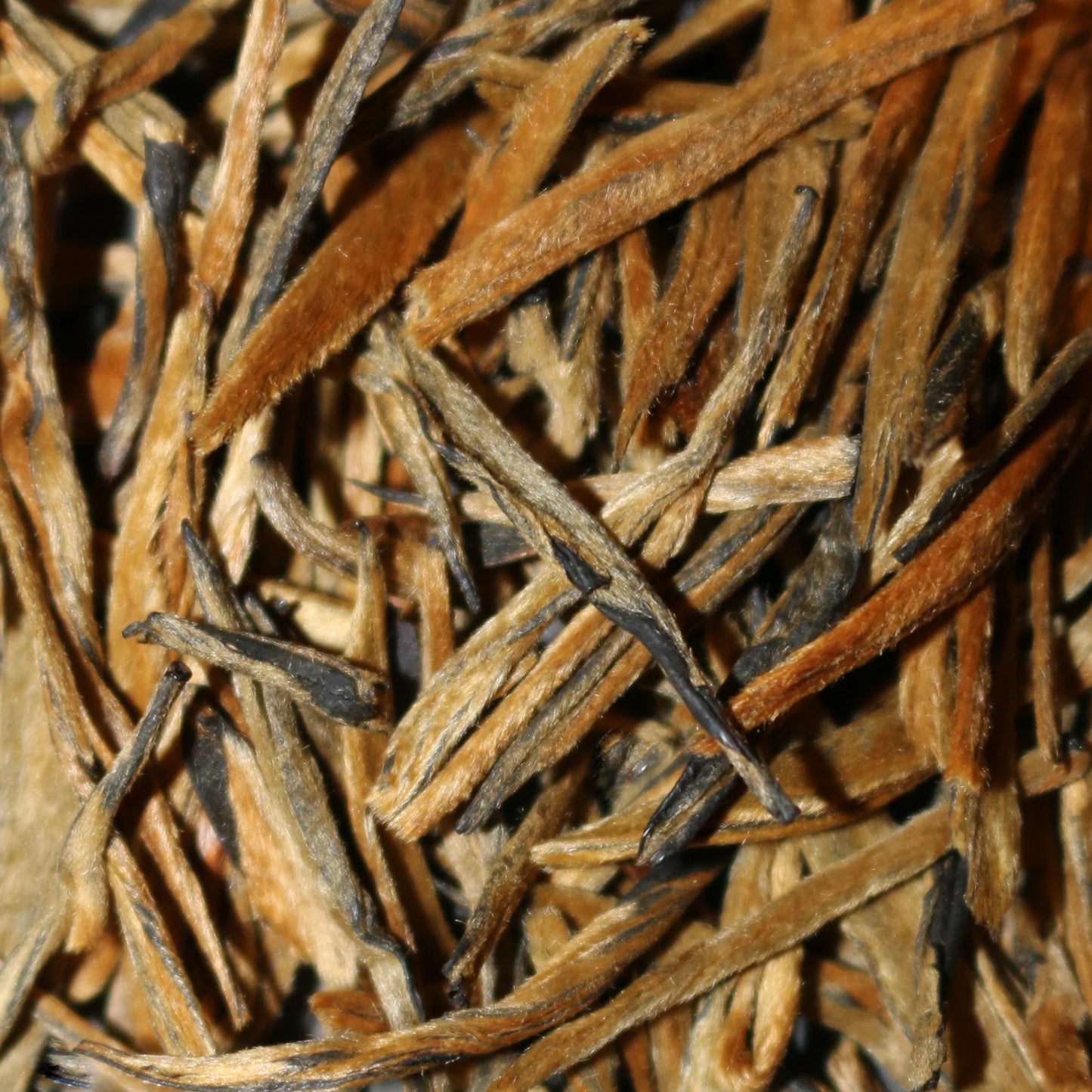 Early Spring Gold Needle Black Tea